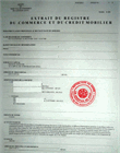 Certificat d'immatriculation au registre de commerce de la société mère